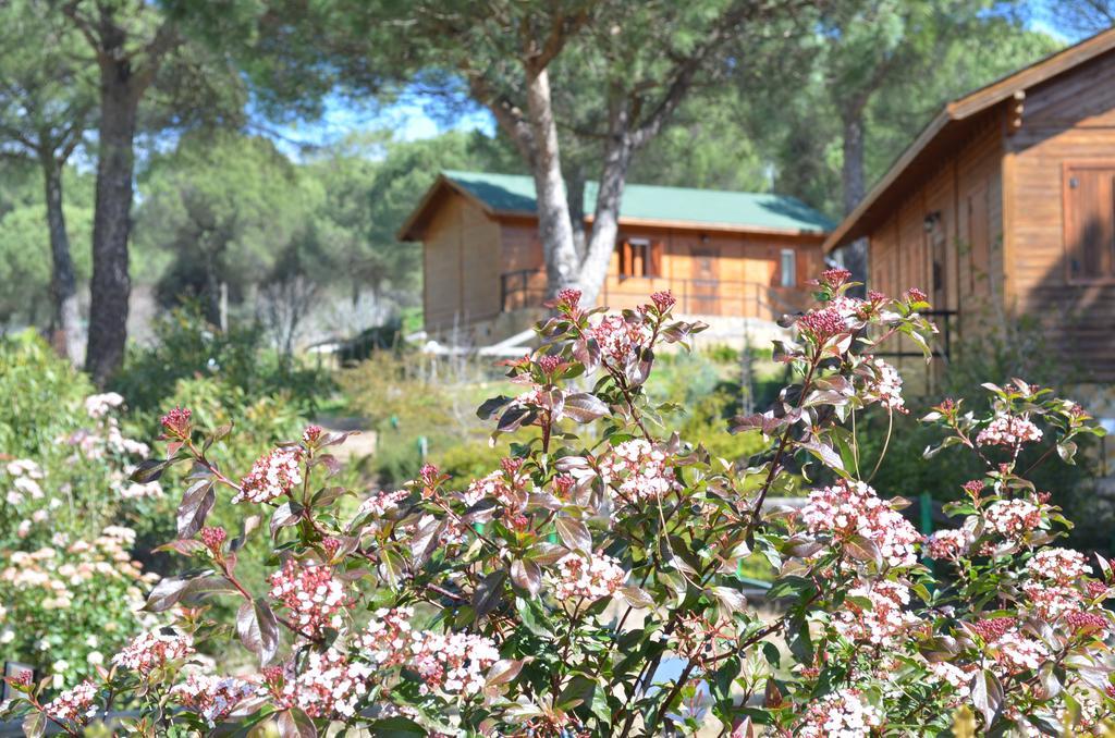 Apartamentos Paraje San Gines アンドゥハル エクステリア 写真