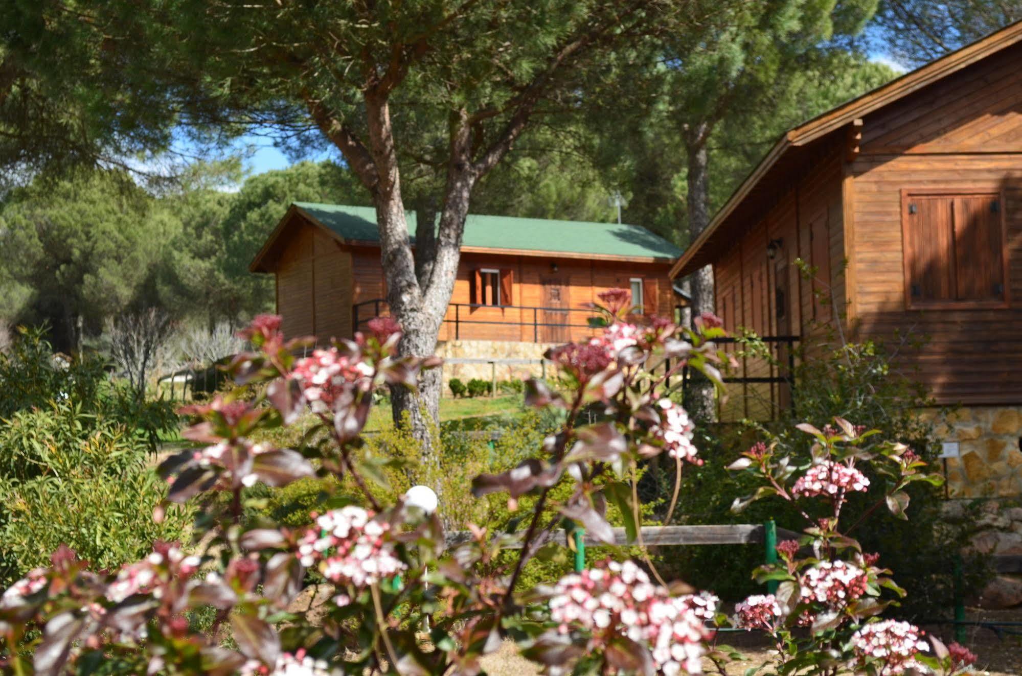 Apartamentos Paraje San Gines アンドゥハル エクステリア 写真